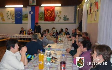 PGD Desnjak5